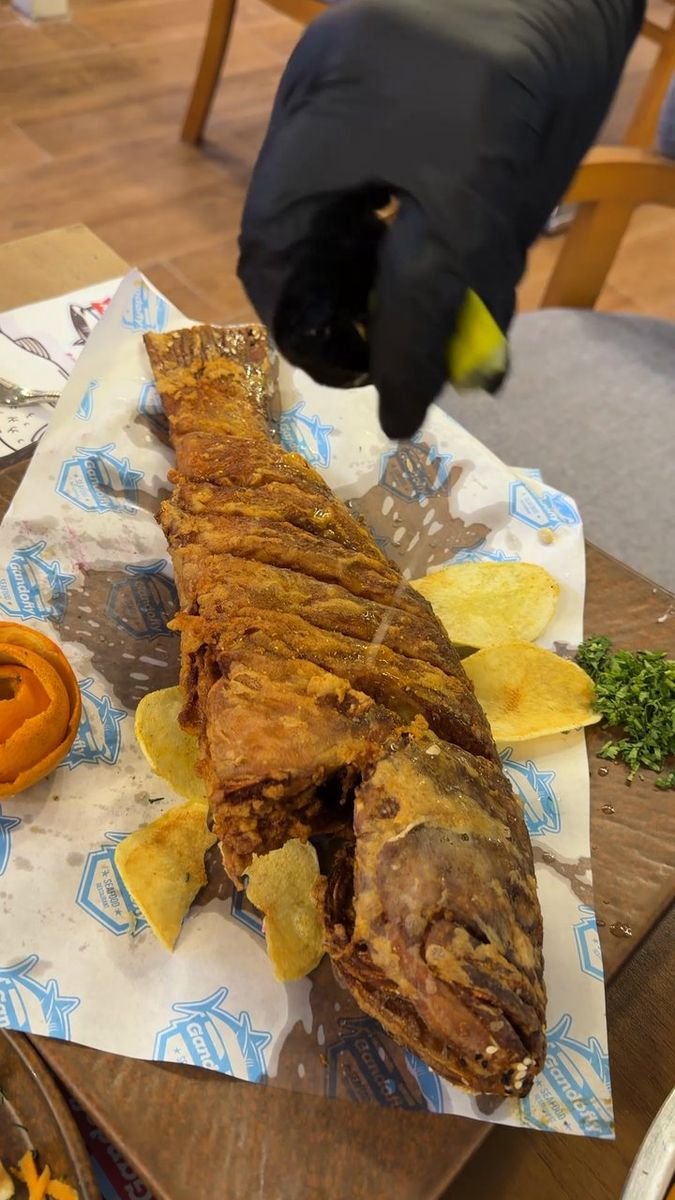 فيديو جندوفلي 20