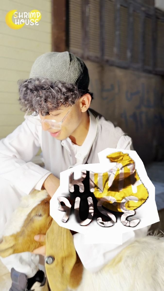 فيديو Shrimp House 70