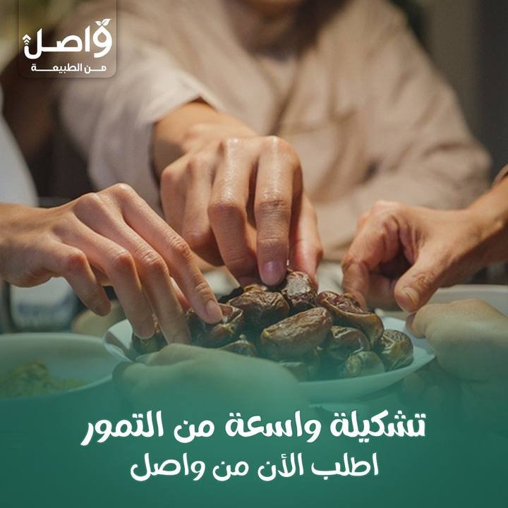 تصميم واصل — نموذج 3